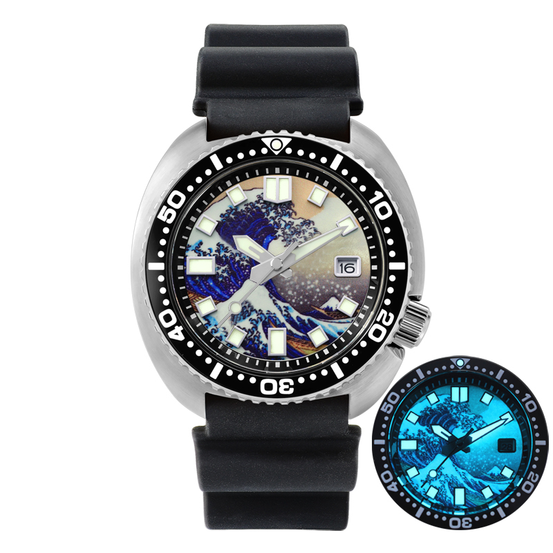 San Martin Turtle - SN0057-G