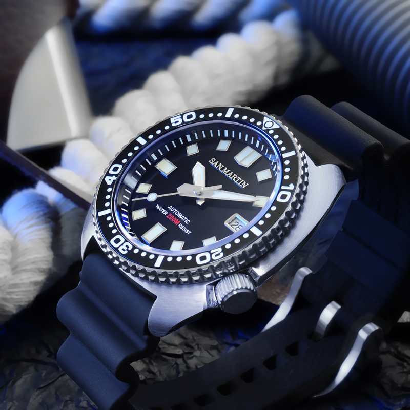 San Martin Turtle - SN0057-G