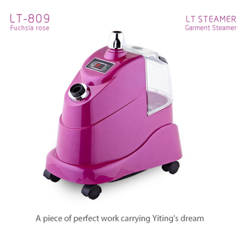 LT-809 Fuchsia rose