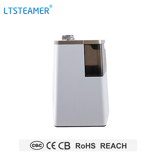 X6 Champagne Garment Steamer