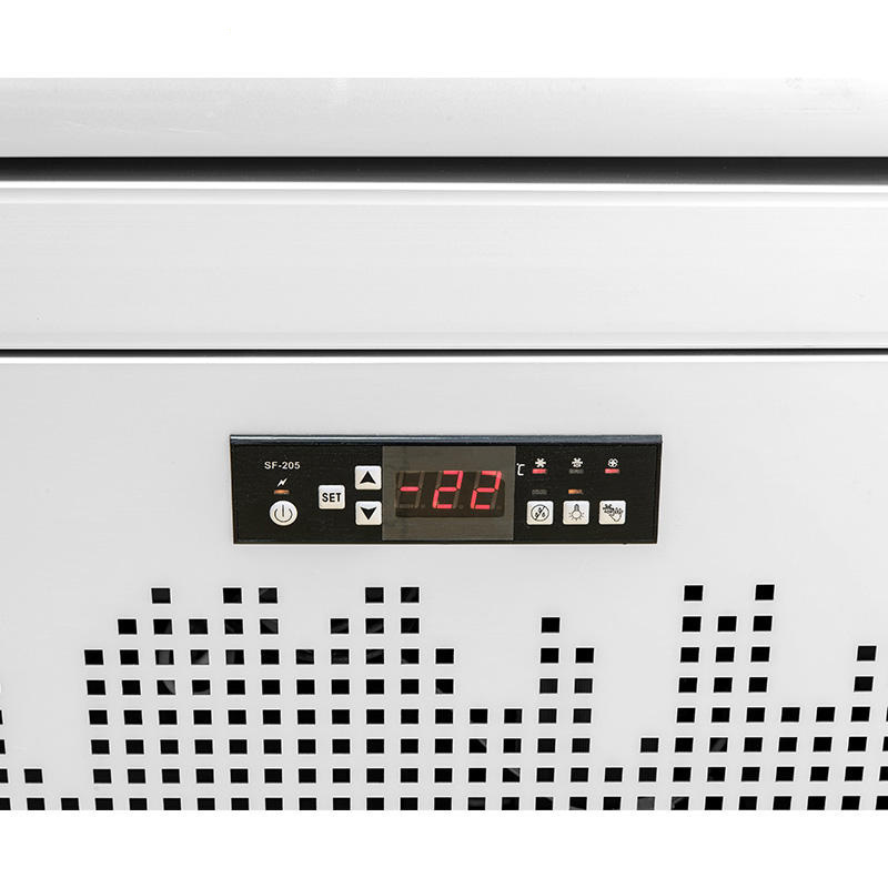 Ice Maker With Water Dispenser For Bar