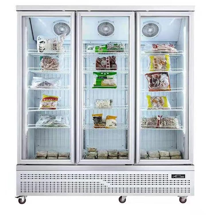 Commercial Glass Door Freezer For Frozen Foods