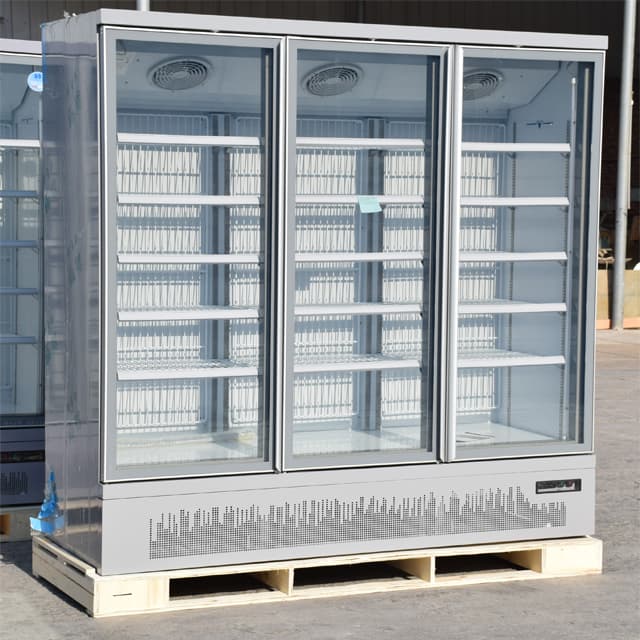 Commercial Glass Door Freezer For Frozen Foods