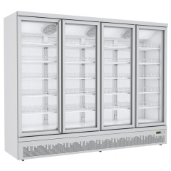 Commercial Glass Door Freezer For Frozen Foods