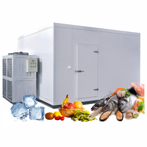 Cold Storage To Keep Fresh Fish Seafood Cold Room