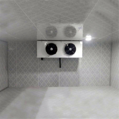Cold Room Storage For Meat And Vegetables