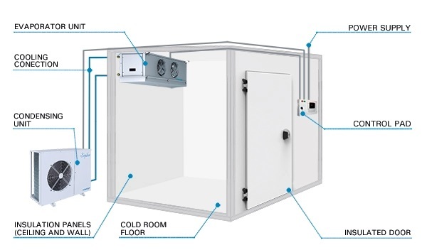 Cold Room Storage and Cold Room Refrigerated