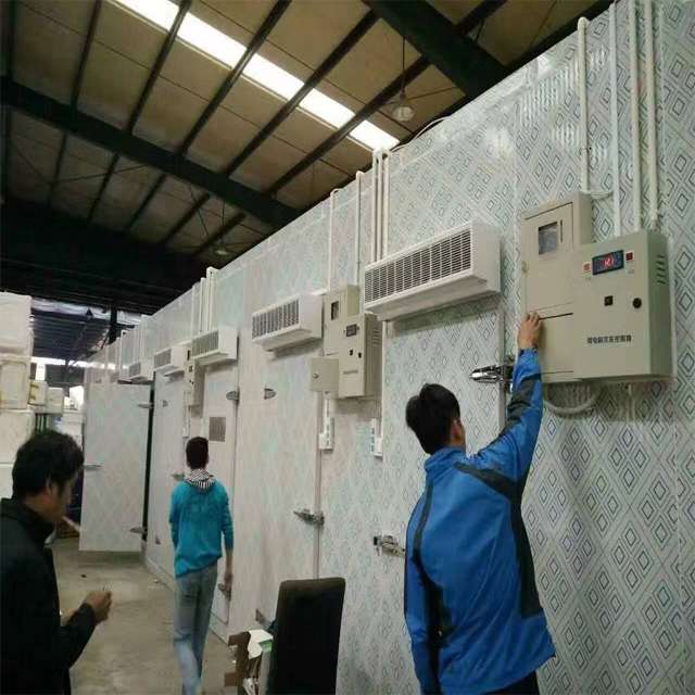 Cold Storage To Keep Fresh Fish Seafood Cold Room