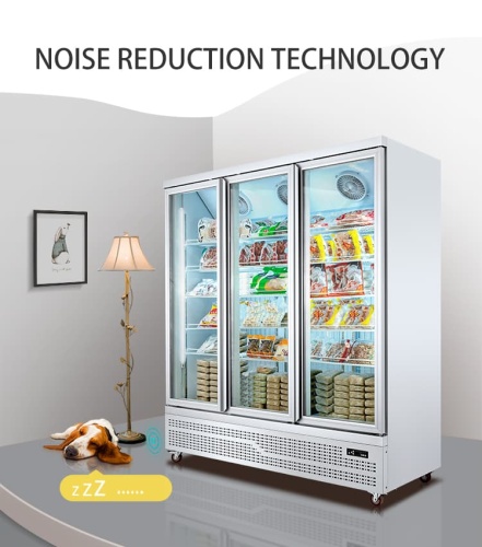 Commercial Glass Door Freezer For Frozen Foods