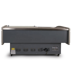Commercial Cooked Food Display Freezer