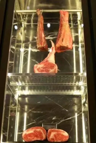 Dry Ager Machine