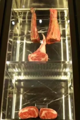 Dry Ager Machine