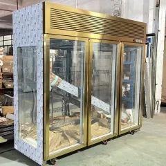Meat Aging Fridge