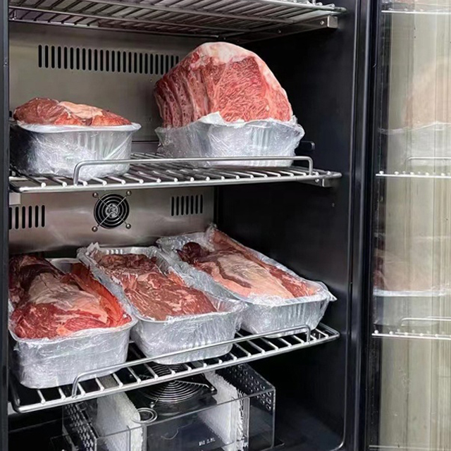 Hot Sale Dry Aging Refrigerator