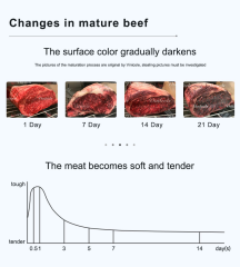 Hot Sale Dry Aging Refrigerator
