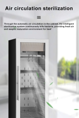 Commercial Dry Age Fridge