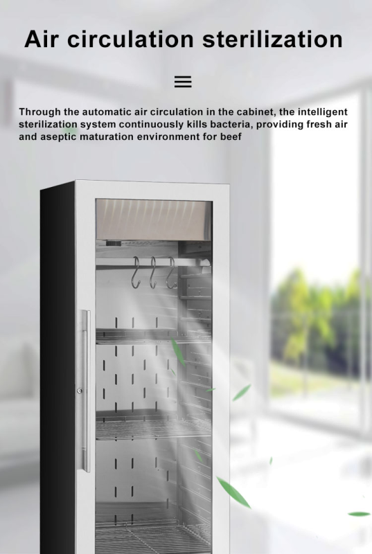 Commercial Dry Age Fridge