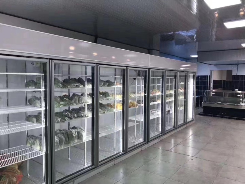 Wholesale Walk-in Freezer Rooms Low Temperature Glass Door for Display commercial refrigerator glass door