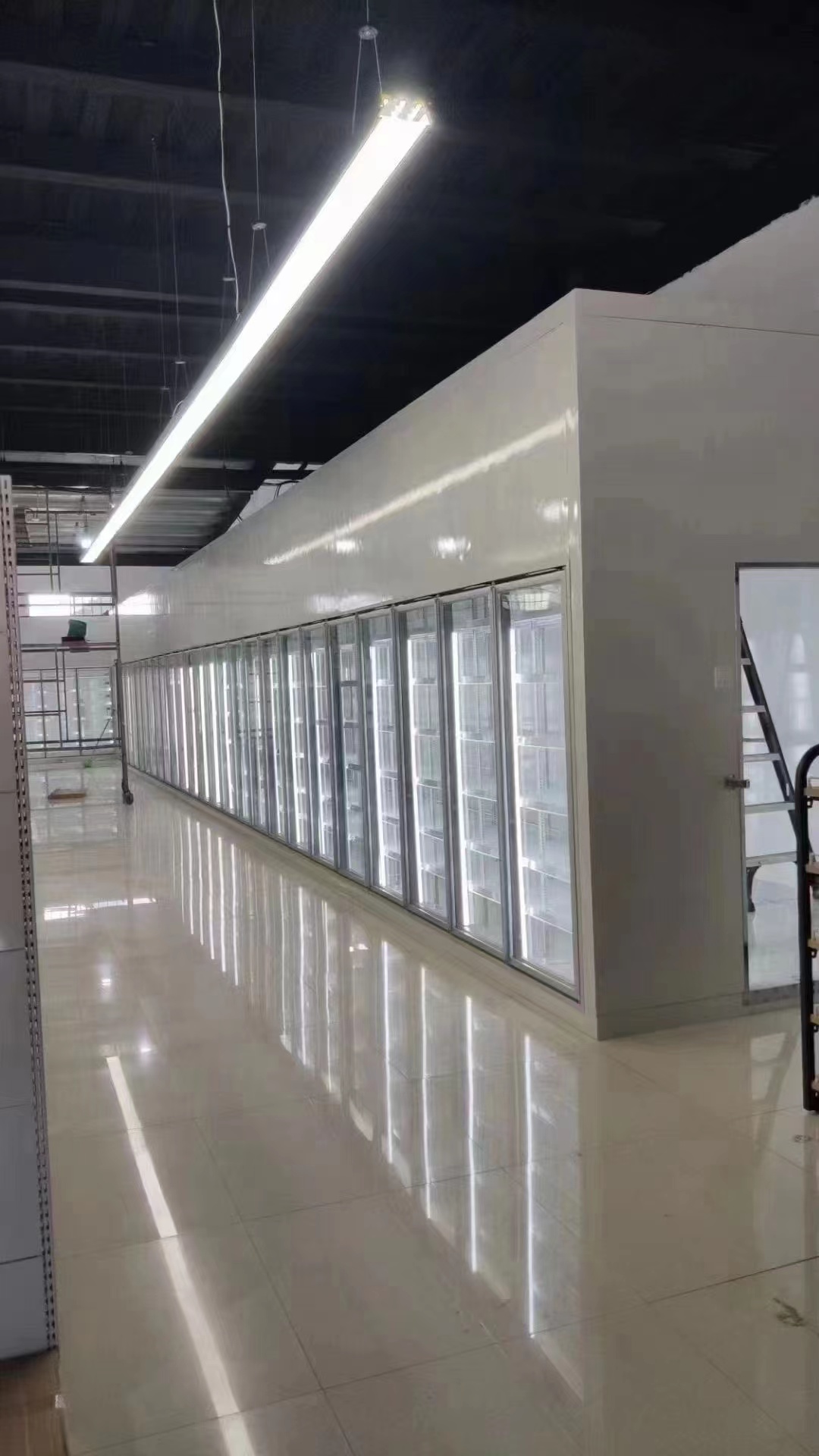 Walk In Freezer Refrigeration Cooling System Cold Storage Room