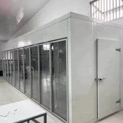 CE certificate display walk in cooler freezer room with beer cave