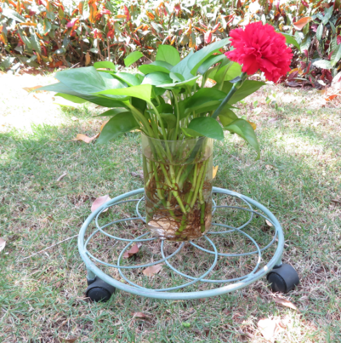 Black/Light Blue Flower Pot Rack