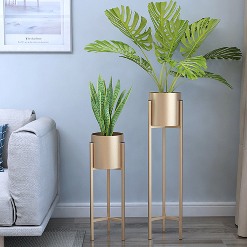 Plant Shelves for Decorate Garden