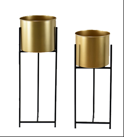 Gold with Black metal