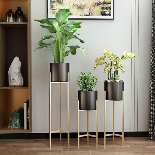 Plant Shelves for Decorate Garden