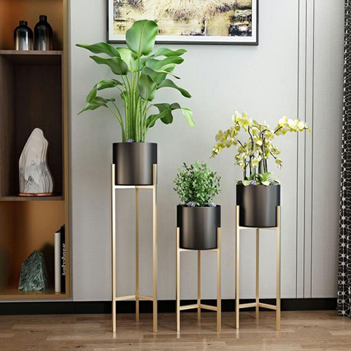 Plant Shelves for Decorate Garden