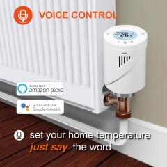 Classical Zigbee TRV