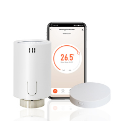 Wireless TRV