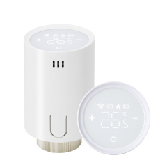Wireless TRV