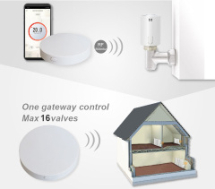 Wireless TRV
