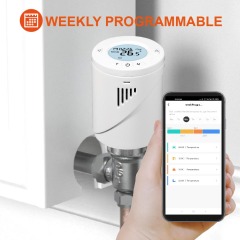 Classical Wireless TRV