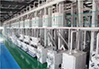 Grain and oil processing equipment