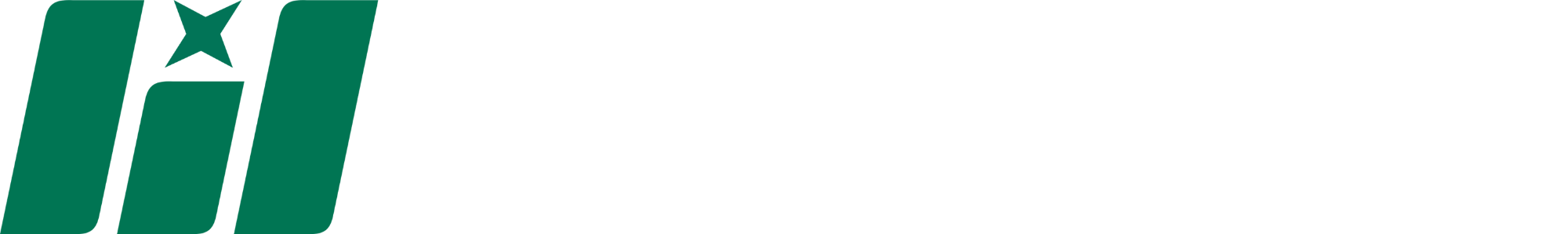 Footer Logo