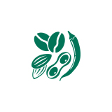 农副产品分选