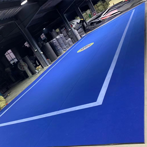 Tapis roulant d'arts martiaux Wrestling BJJ MMA