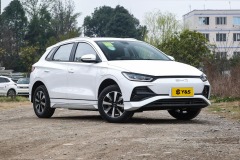 BYD e2 2024 Honor Edition Luxury type