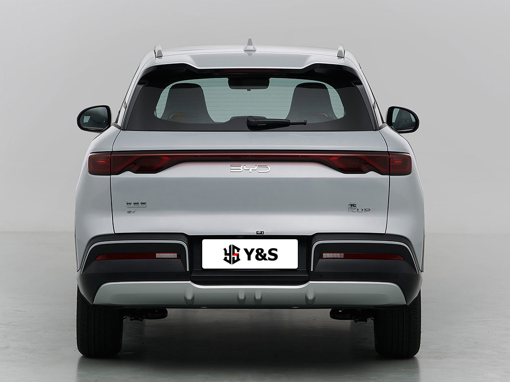 BYD Yuan up 2024 301km Leading model