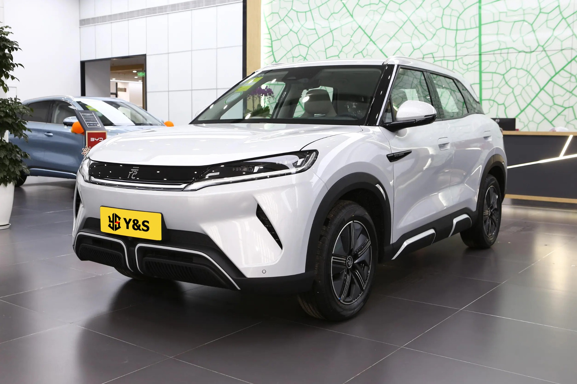 BYD Yuan up 2024 401km Transcendent model