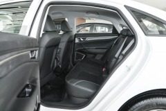 Geely Emgrand EV Pro Wangyue version ternary lithium