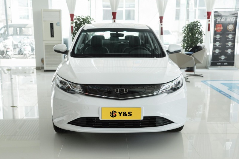 Geely Emgrand EV Pro Wangyue version ternary lithium