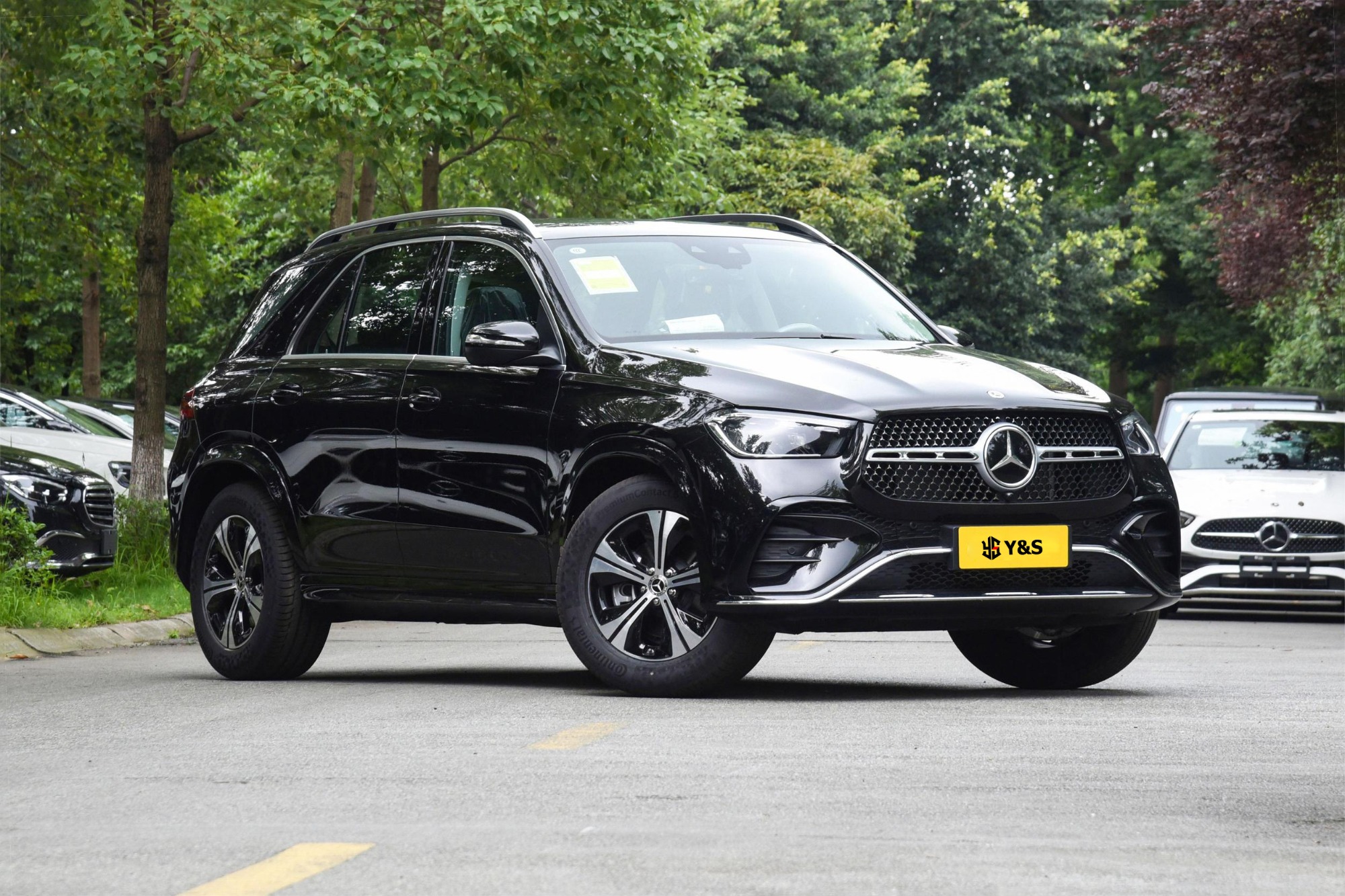 Benz GLE 350 4MATIC Dynamic type