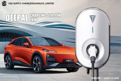 DEEPAL Original charging station