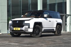 Yangwang U8 Luxury Version