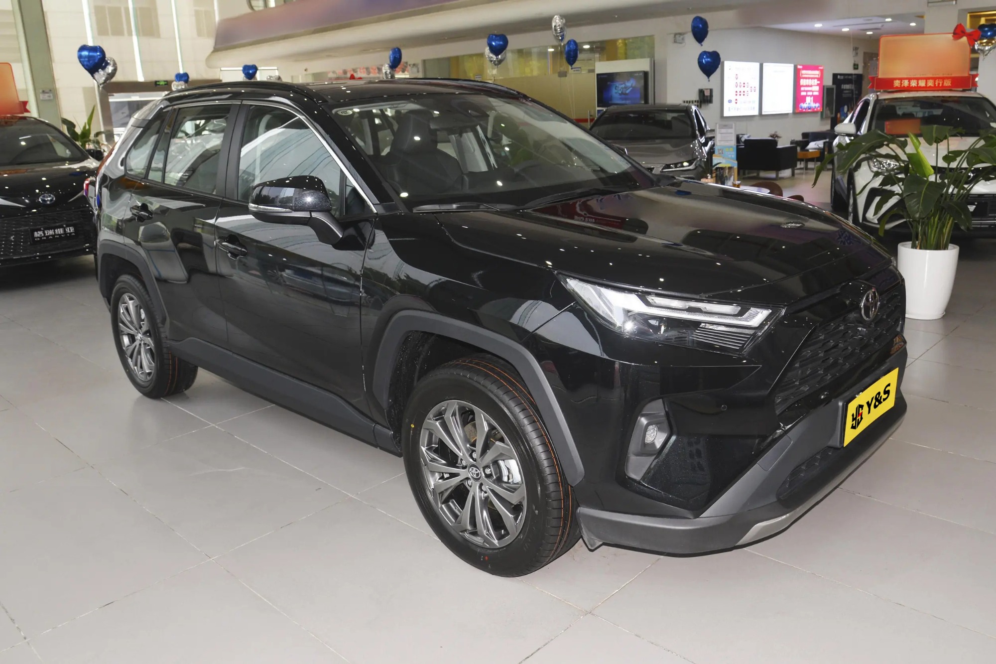 Toyota RAV4 2.0L CVT 2WD 20th Anniversary Platinum Commemorative Edition