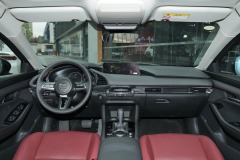 2023 2.0L Automatic Zhizhen Edition
