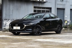 2023 2.0L Automatic Zhiyao Edition