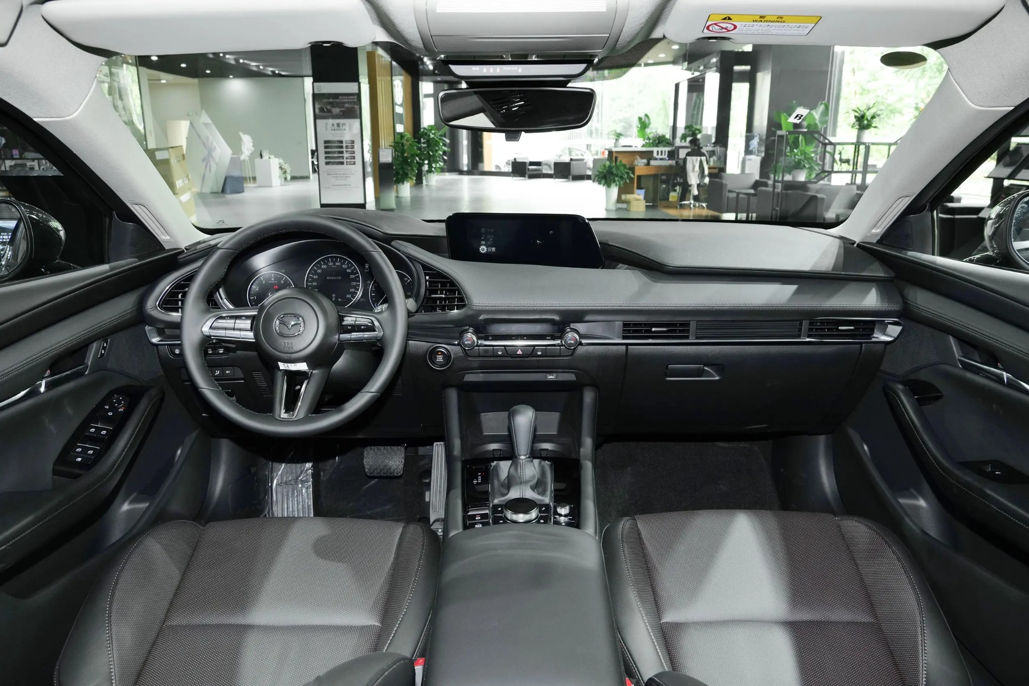 2023 2.0L Automatic Zhizhen Edition